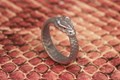 Ouroboros Ancient Symbol Wedding Band with Red Diamond Eyes